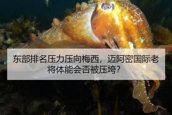东部排名压力压向梅西，迈阿密国际老将体能会否被压垮？